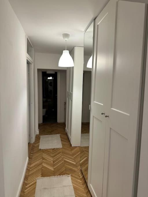 Simba Residence Timişoara Eksteriør billede